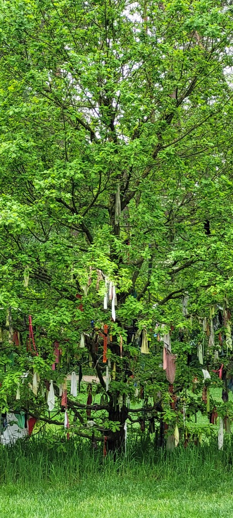 Wandelroute Natuurbeleefpad