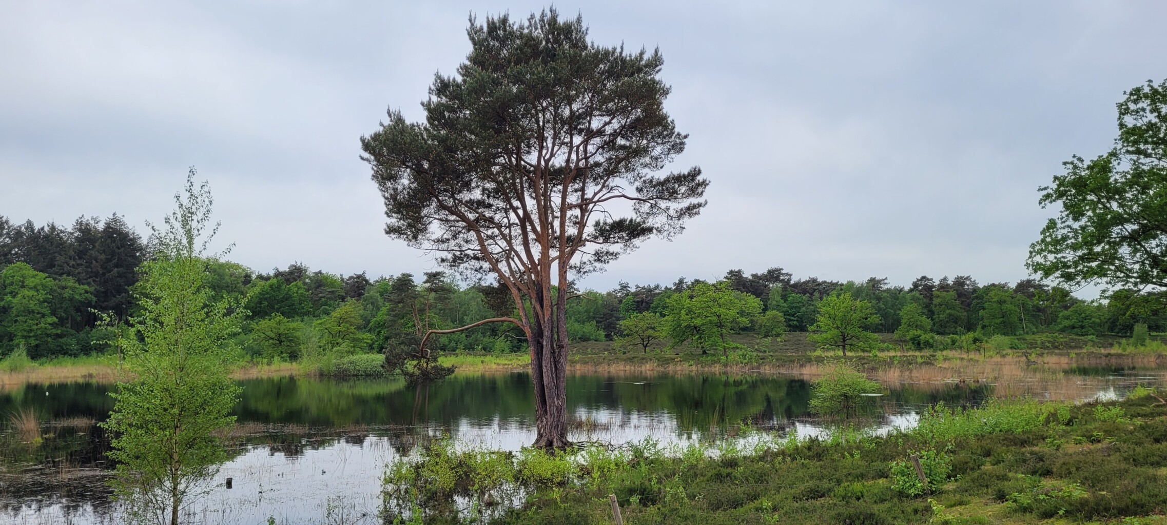 Wandelroute Natuurbeleefpad