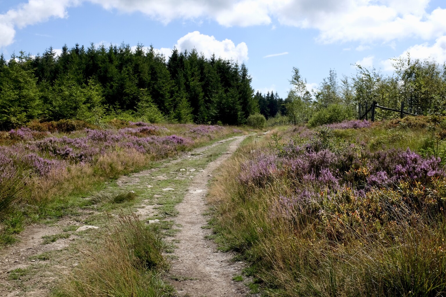Roetgen - Monschau · Eifelsteig etappe 2