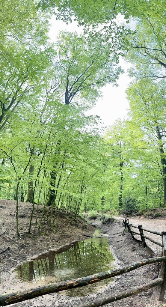 NS-Wandeling Belmonte