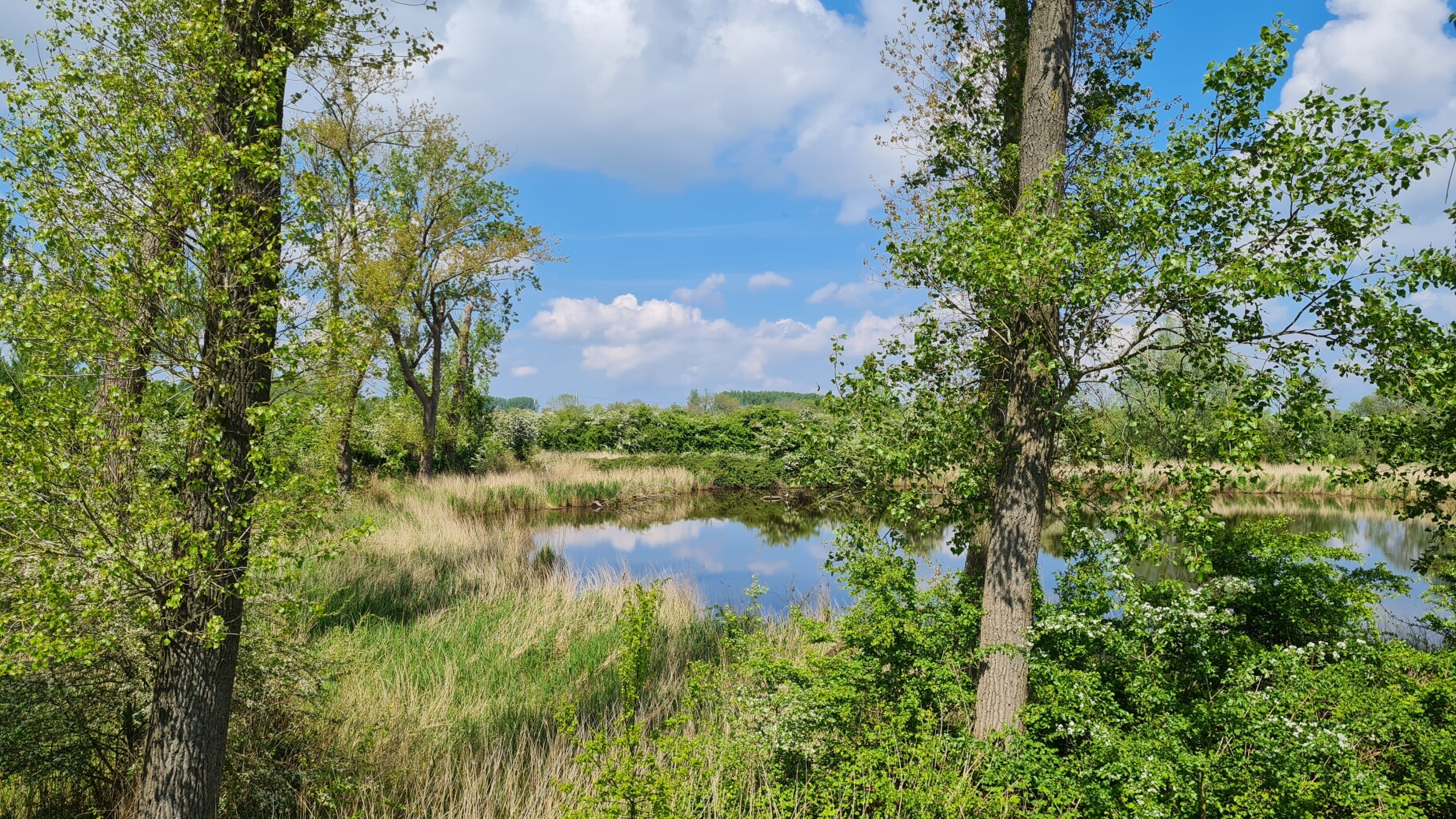 Hardlooproute over de bloemdijken, vlakbij Goes
