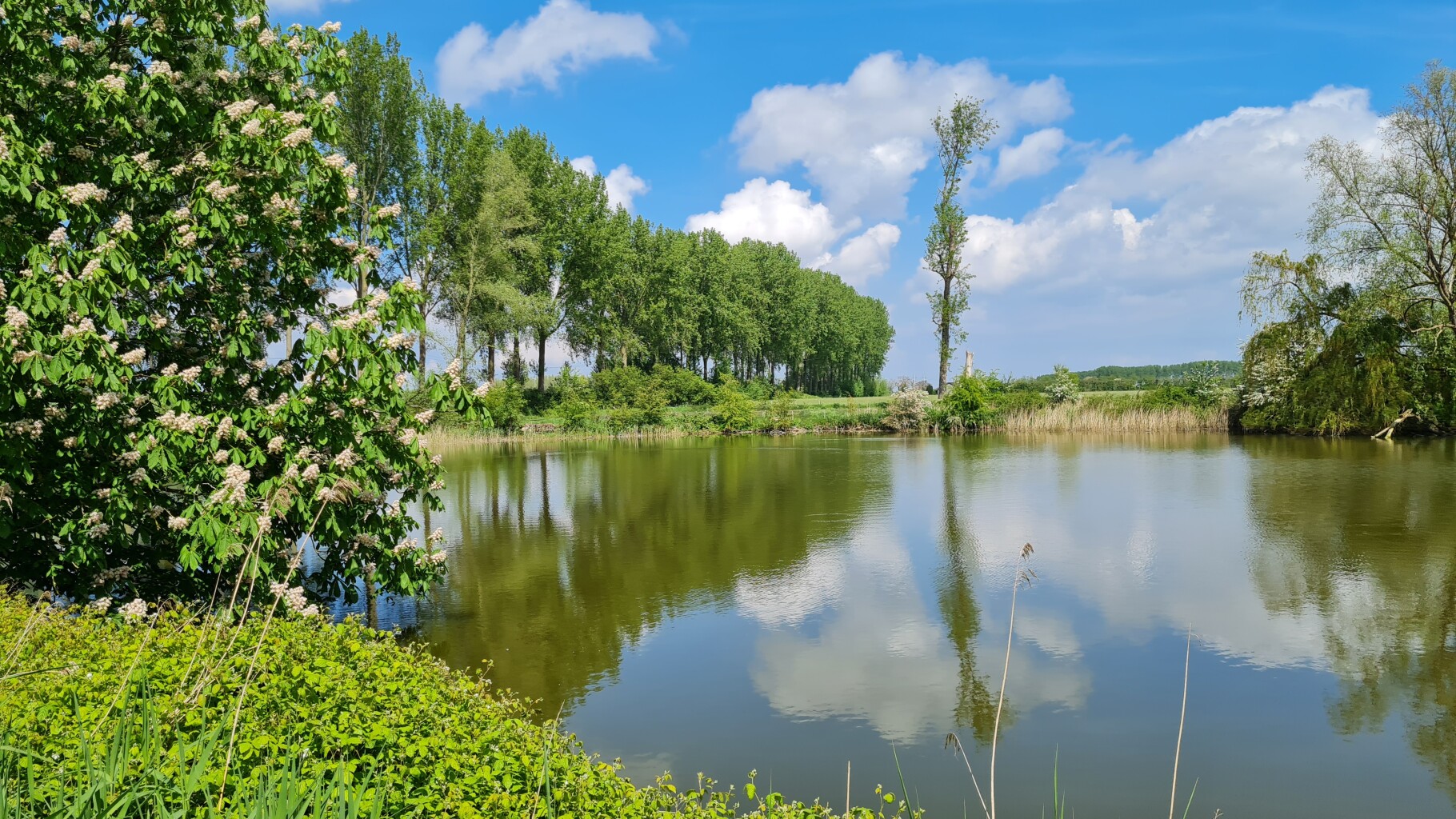 Hardlooproute over de bloemdijken, vlakbij Goes