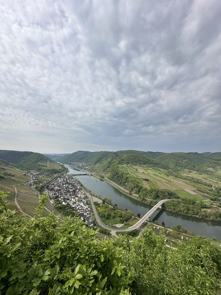 Neef - Ediger-Eller · Moselsteig etappe 16