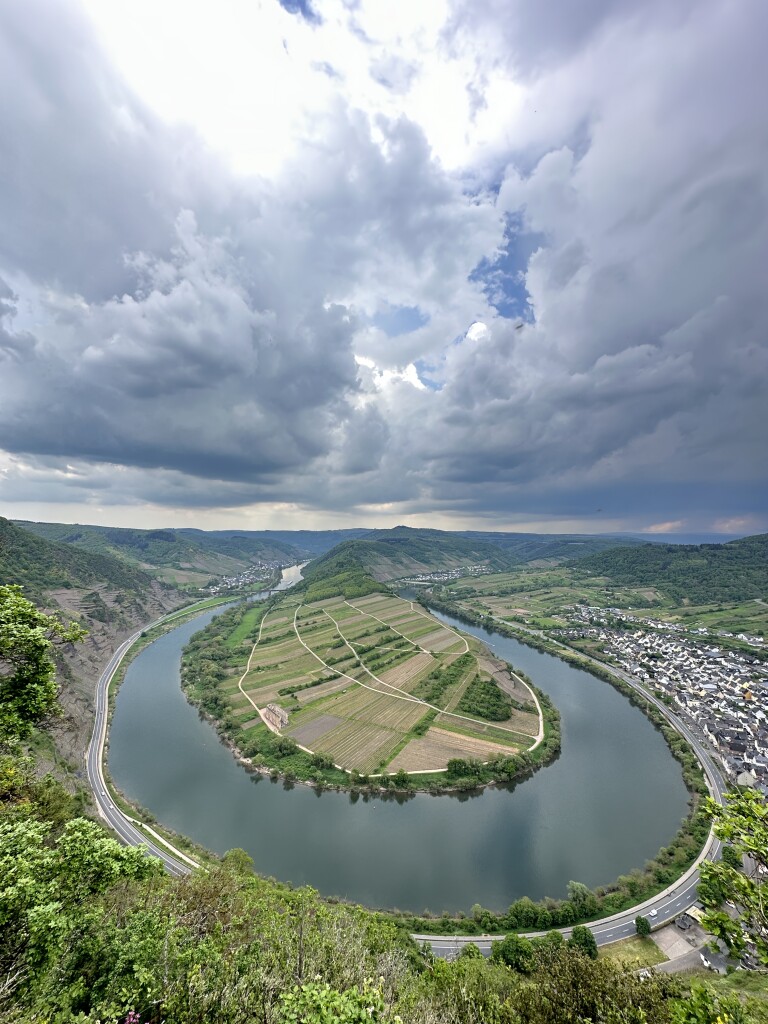 Neef - Ediger-Eller · Moselsteig etappe 16