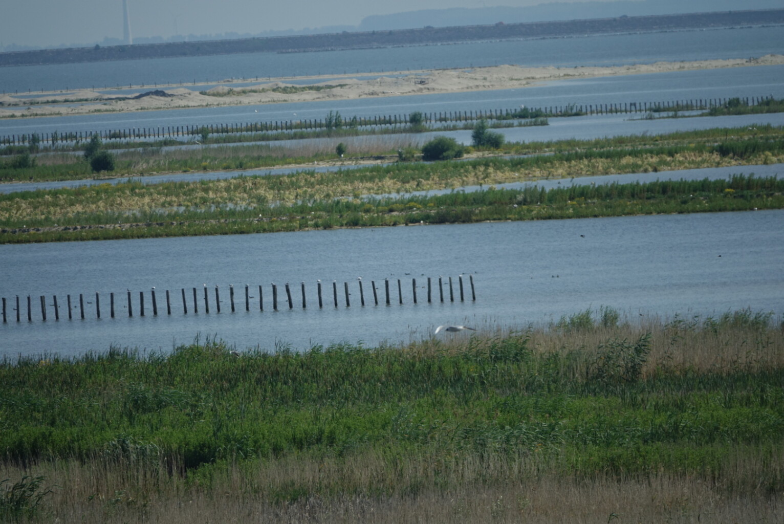 Kustroute op de Marker Wadden