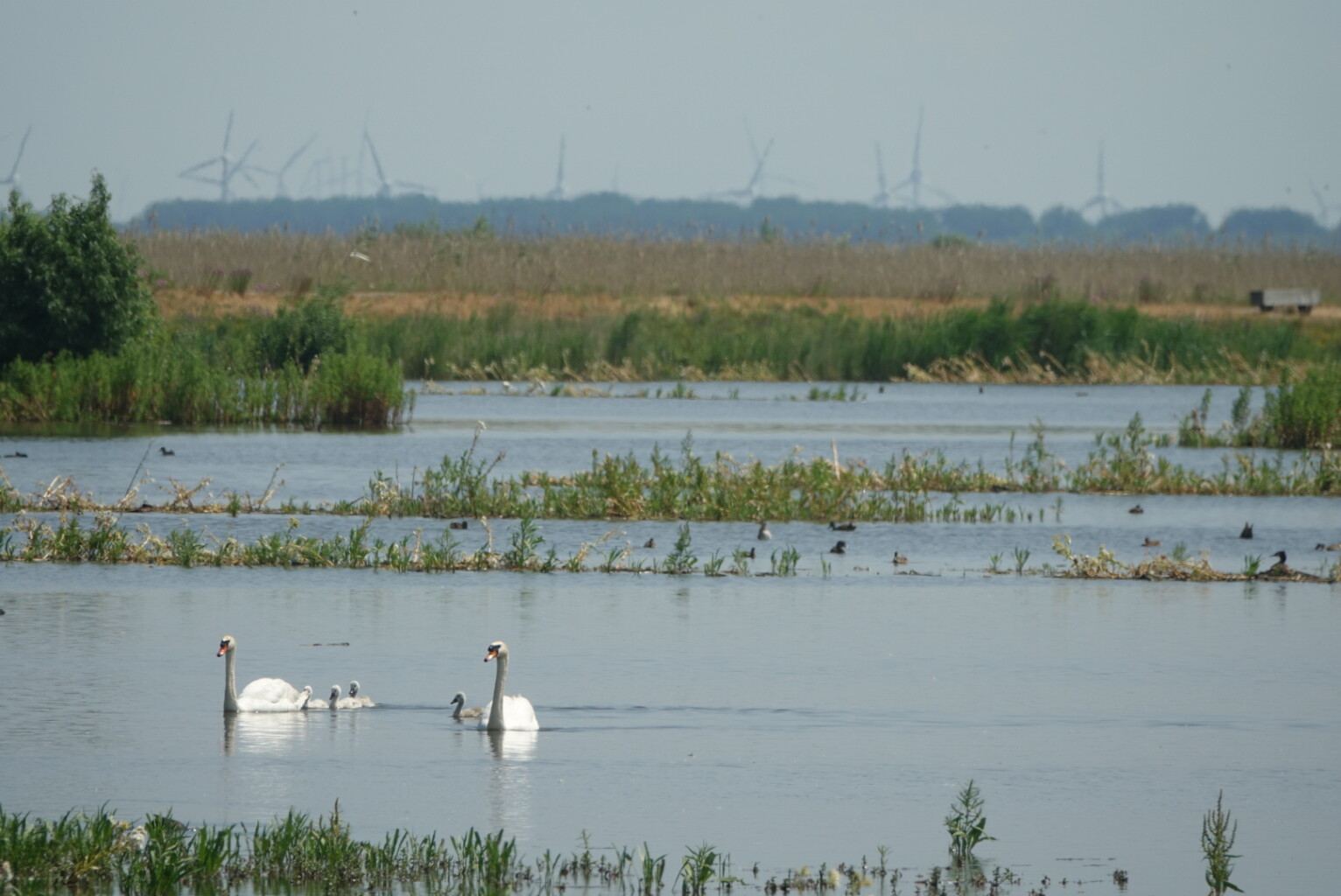 Kustroute op de Marker Wadden