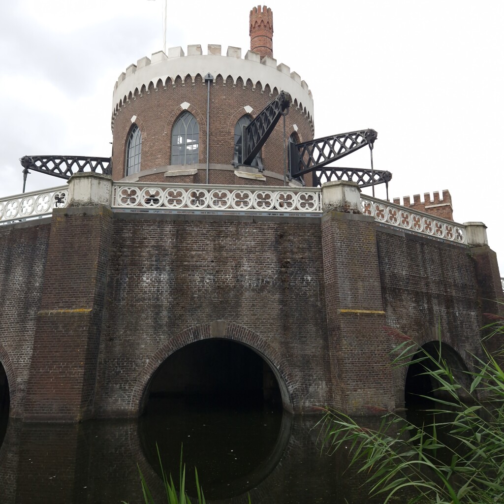 Water en herten in de Amsterdamse Waterleidingduinen