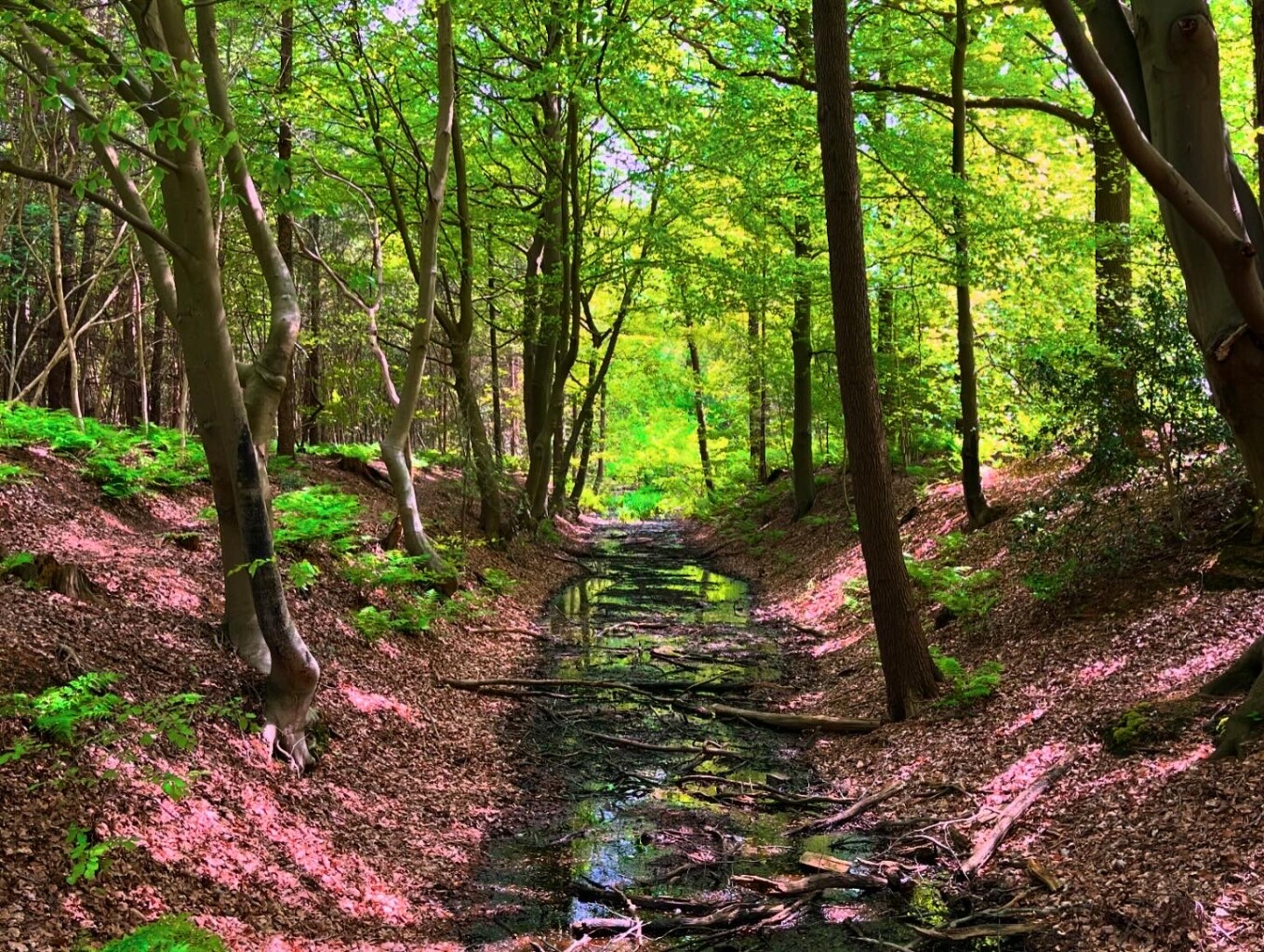 Vledder - Wapserveen - Havelte · Stellingenpad etappe 2