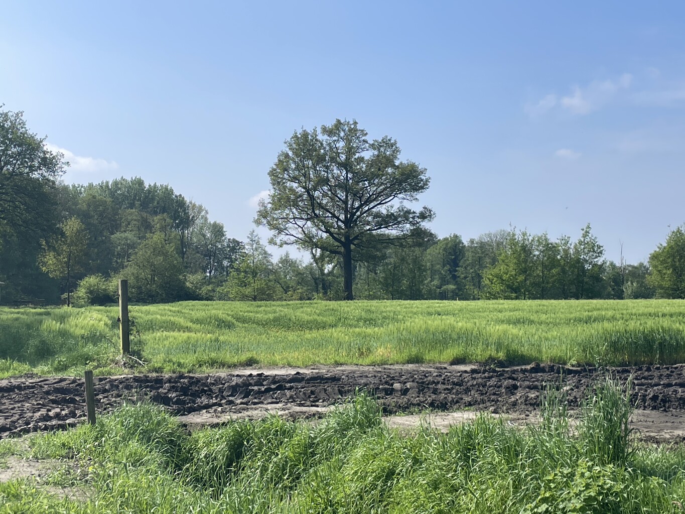 Baarle-Nassau naar Ulicoten - "ons Merkske" · NederRandpad etappe 46