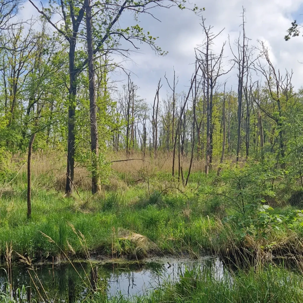 Den Oever - Medemblik · Zuiderzeepad etappe 26