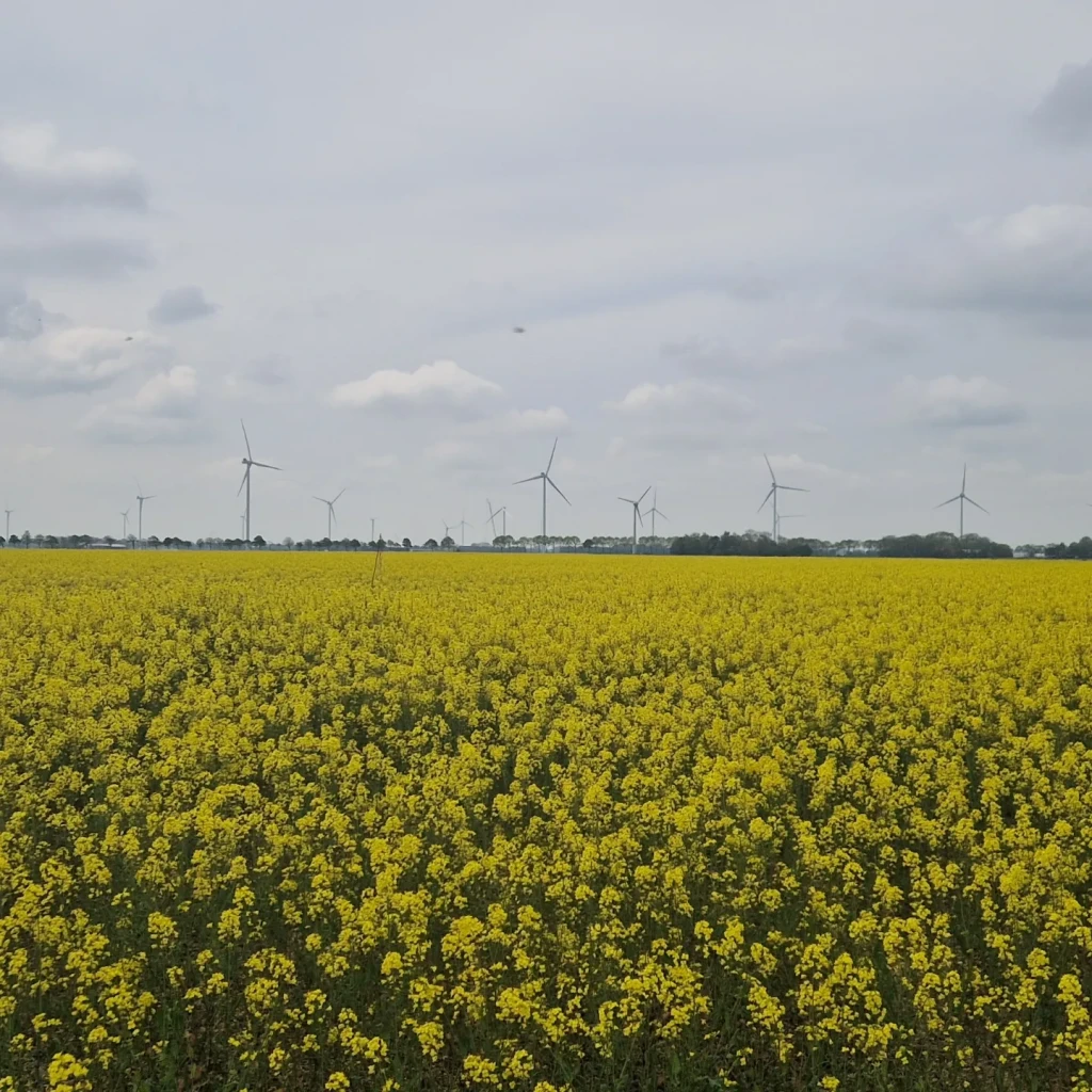Den Oever - Medemblik · Zuiderzeepad etappe 26