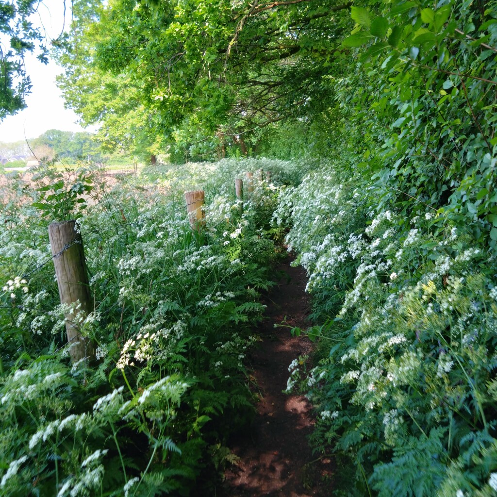 Wijk bij Duurstede - Odijk · Gelukkigerwijspad etappe 4