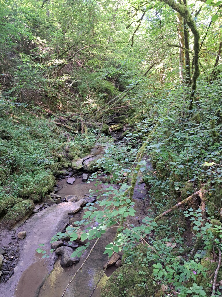 Grevenmacher - Remich · GR5 etappe 30