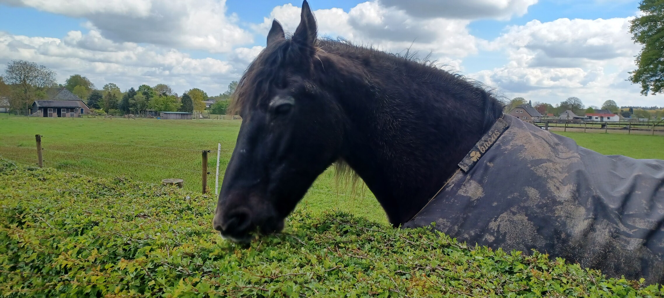 Loenense Enkenpad Loenen