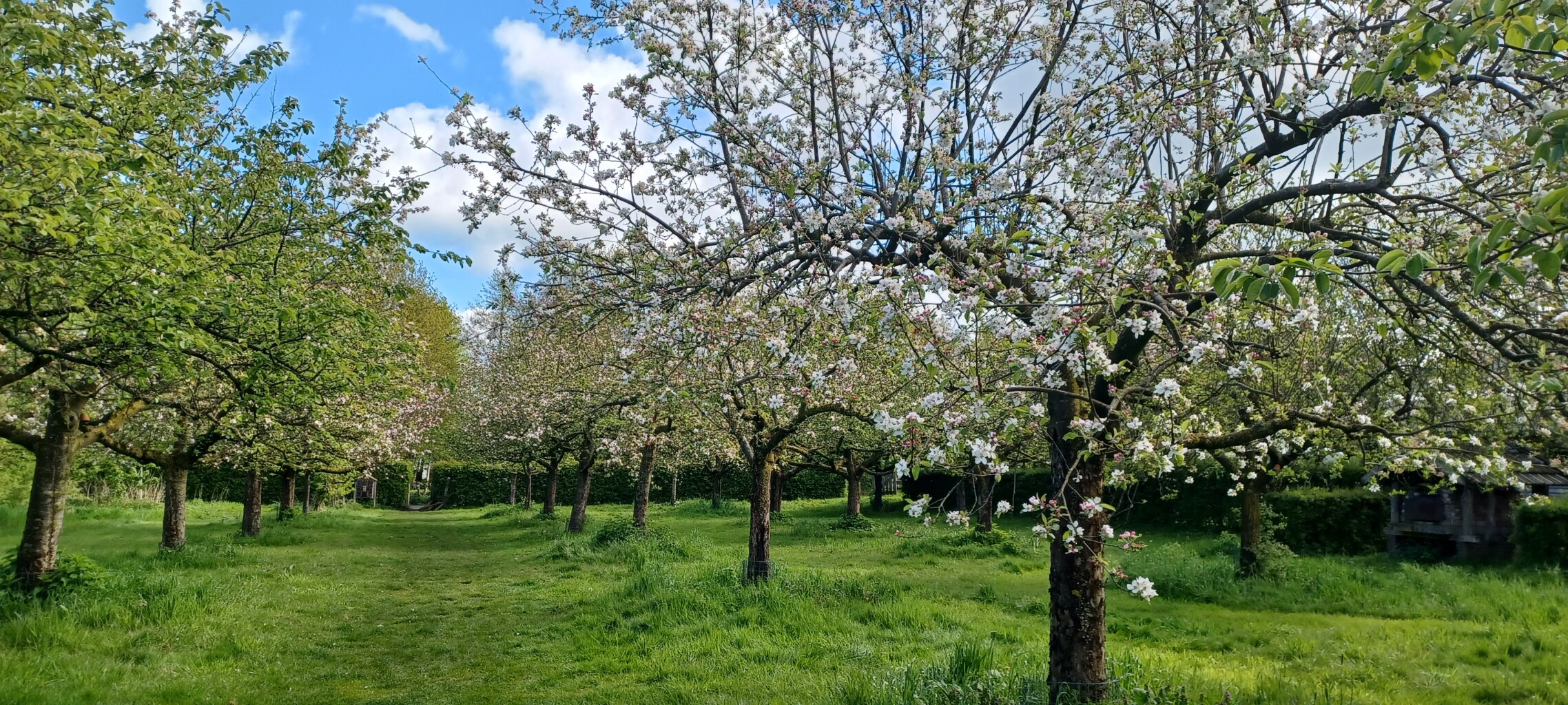 Loenense Enkenpad Loenen
