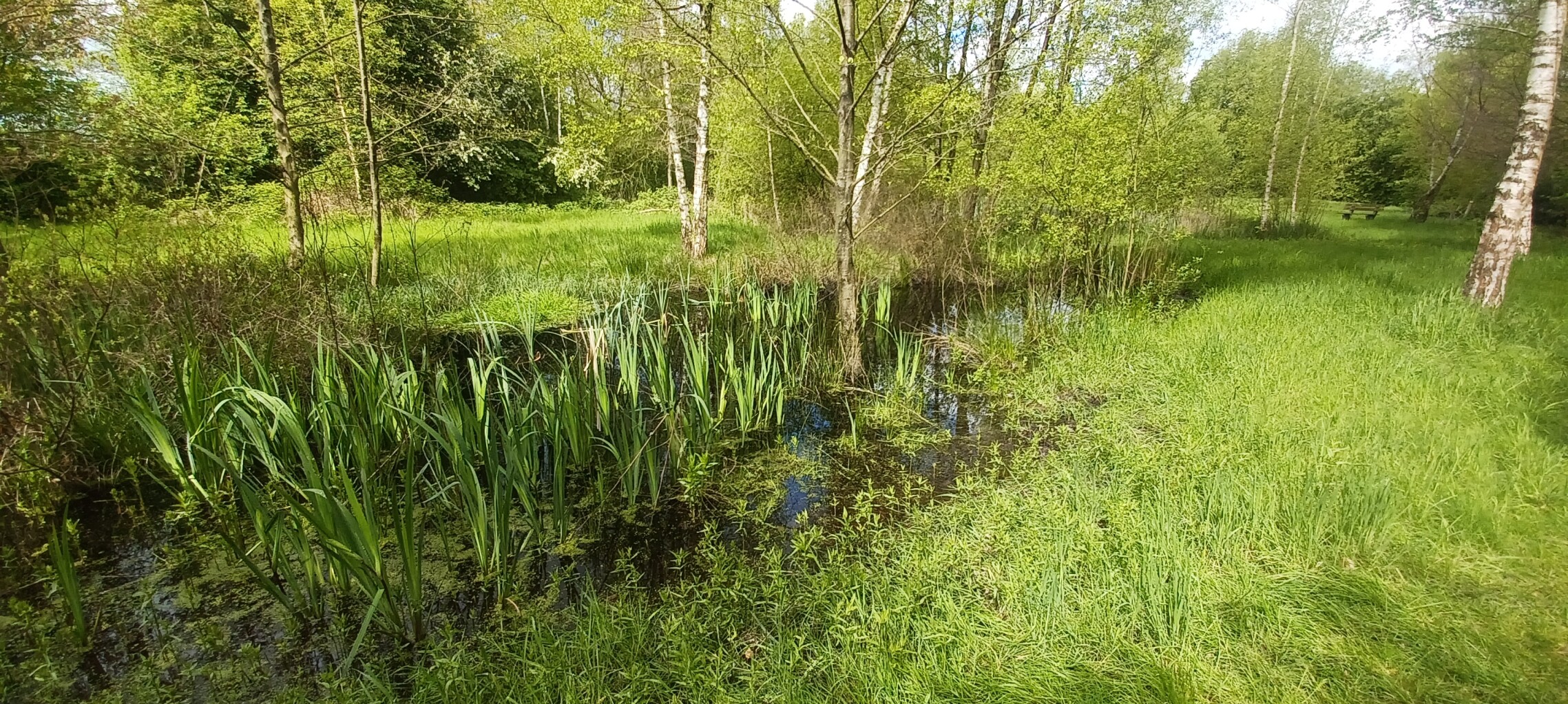 Loenense Enkenpad Loenen