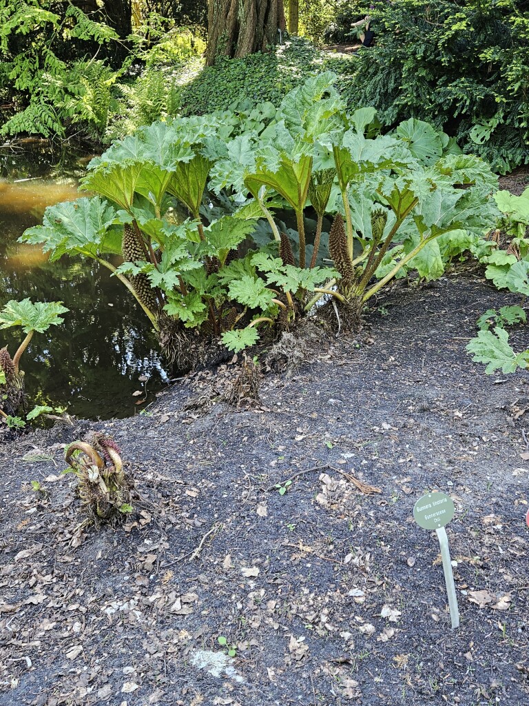Wandelroute Gooilust, vlak bij Hilversum