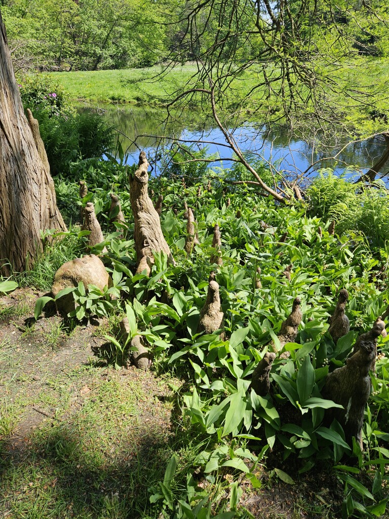 Wandelroute Jagtlust, vlak bij Hilversum