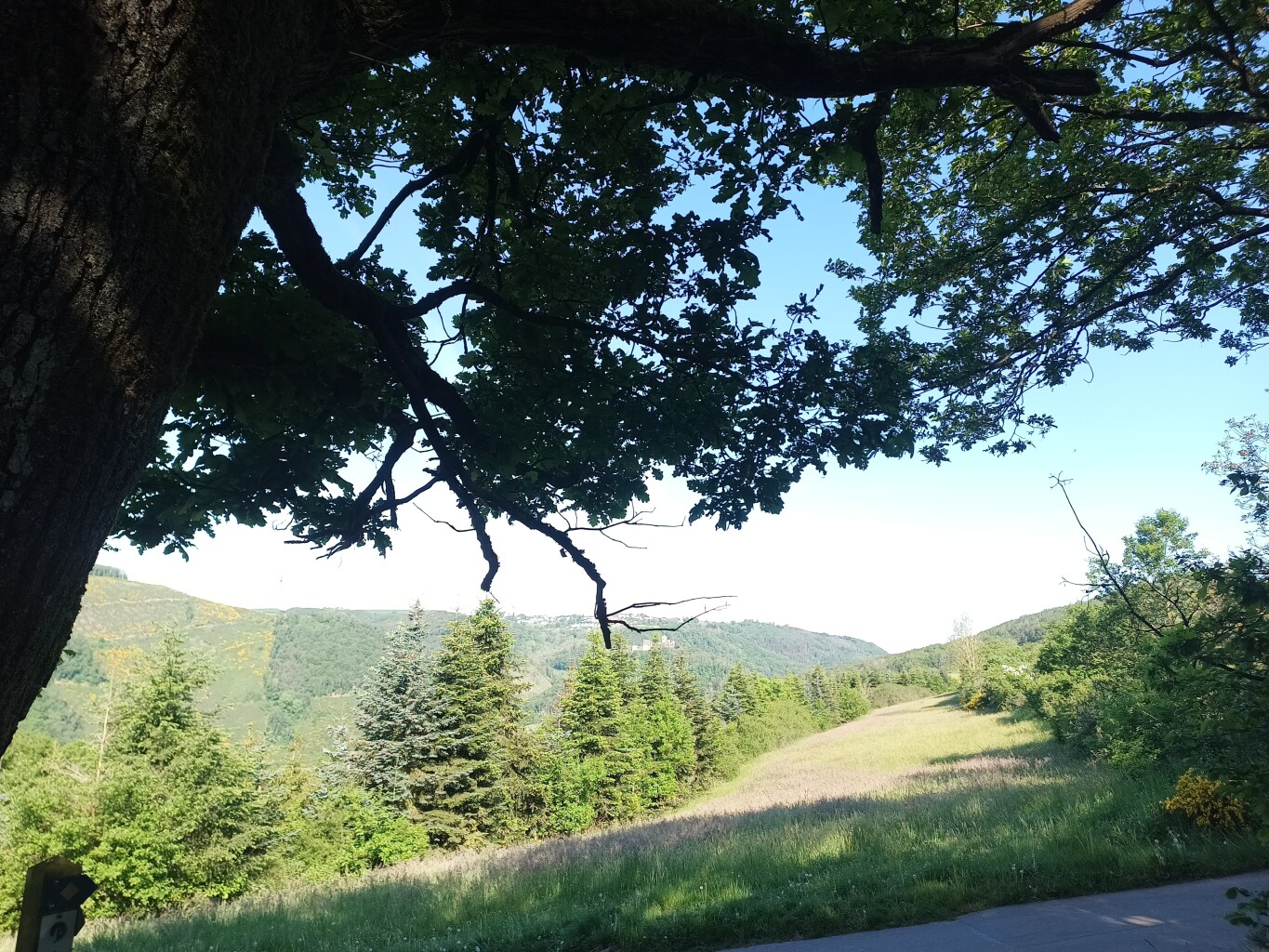 Escapardenne Lee Trail