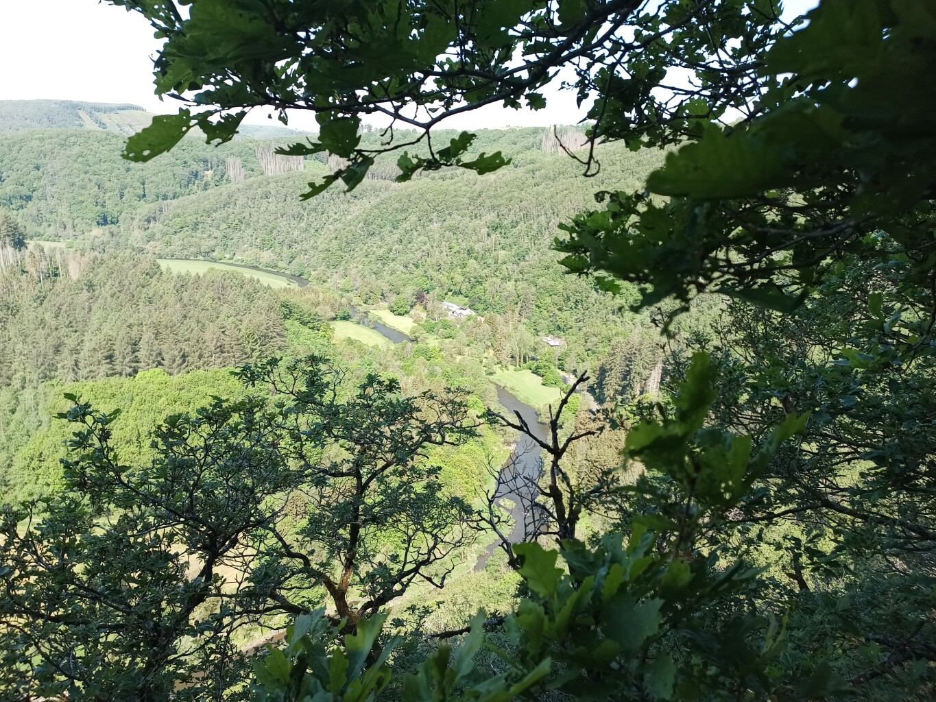 Escapardenne Lee Trail