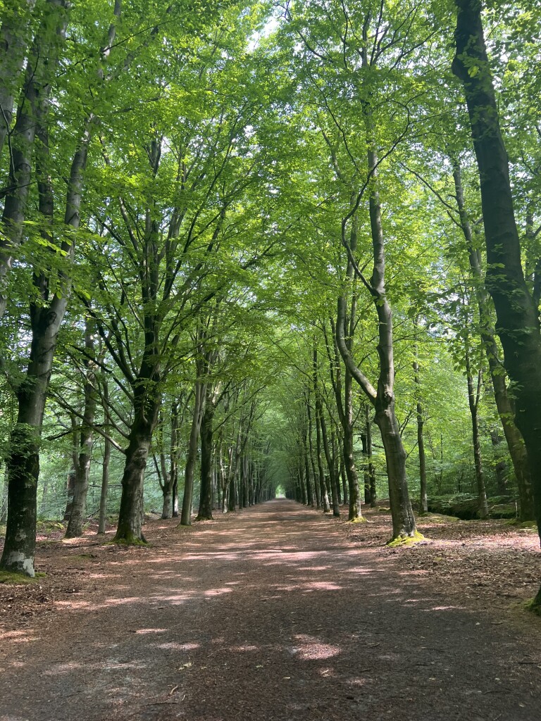 Oudemirdum - Stavoren · Zuiderzeepad etappe 22