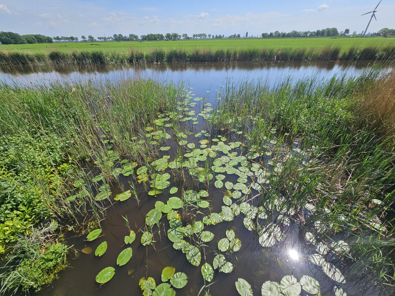 Mantgum, Hoek - Sneek, Watertoren · Elfstedenpad etappe 2