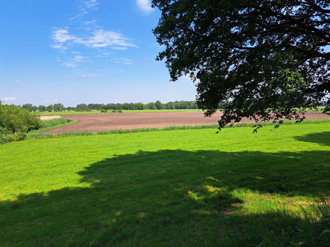 Boswachterspad Grebbelinie 