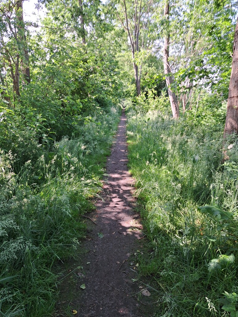 Boswachterspad Grebbelinie 