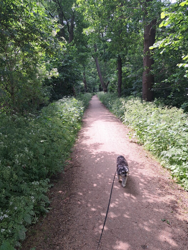 Boswachterspad Grebbelinie 