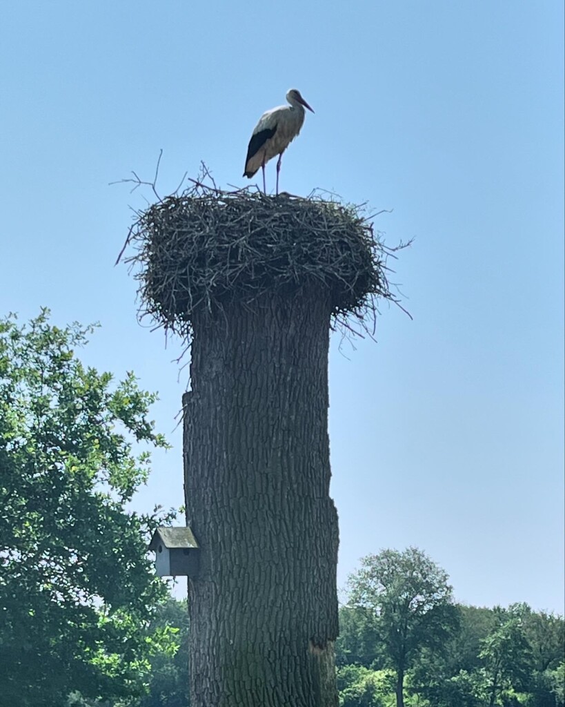 Havelte - Steenwijk - Giethoorn · Stellingenpad etappe 3