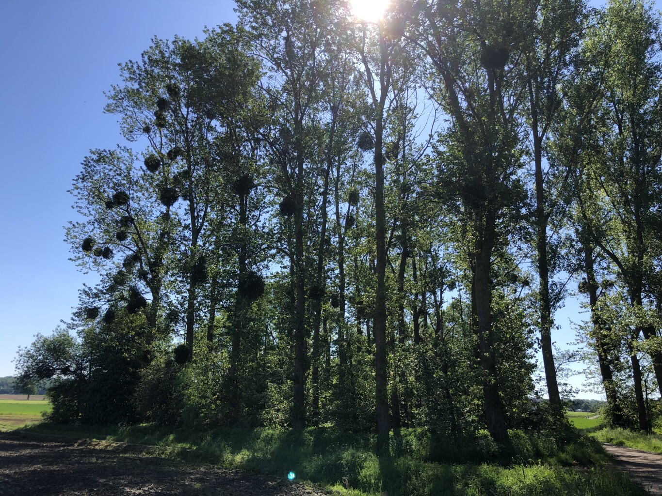 Vaals - Gulpen · Dutch Mountain Trail etappe 2