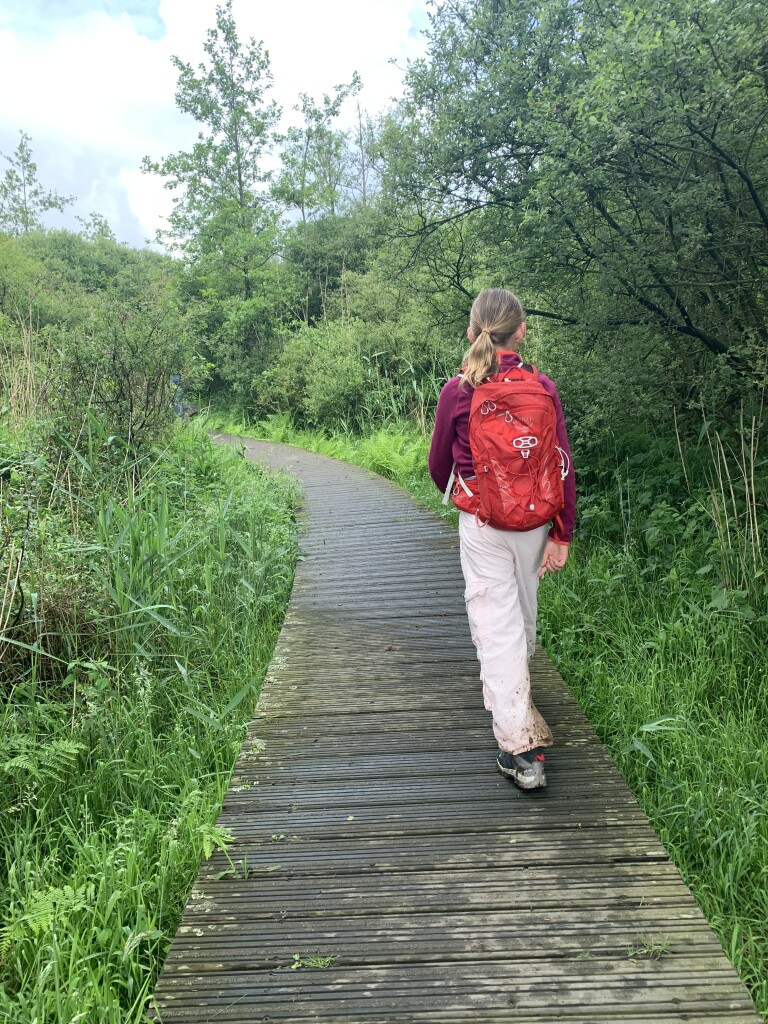 Boswachterspad Bruggenroute Moerputten