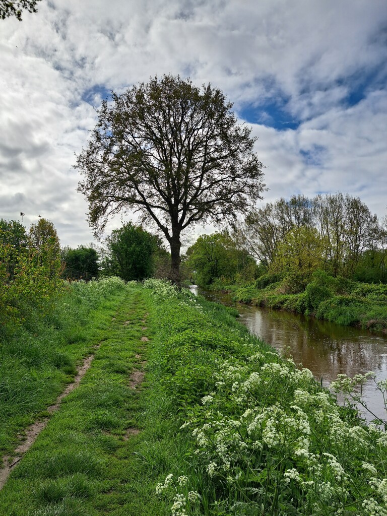 Meerlo - Horst · Petranpad etappe 2