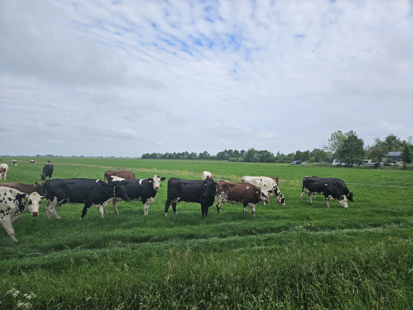 Sneek, Watertoren - Balk · Elfstedenpad etappe 3