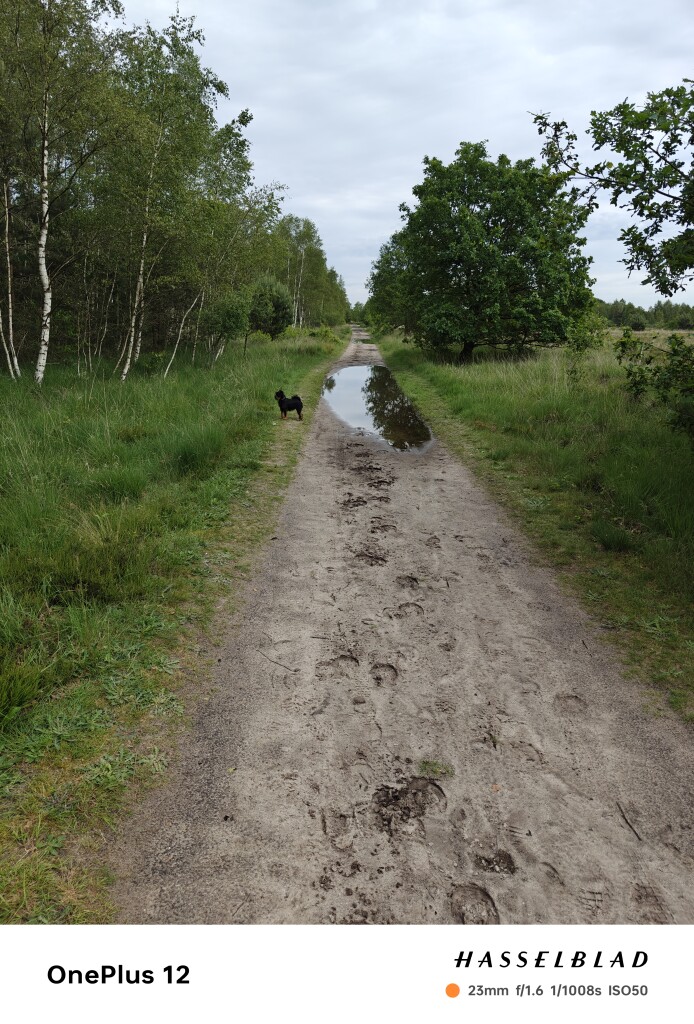 Luyksgestel - Bladel · Brabants Vennenpad etappe 9