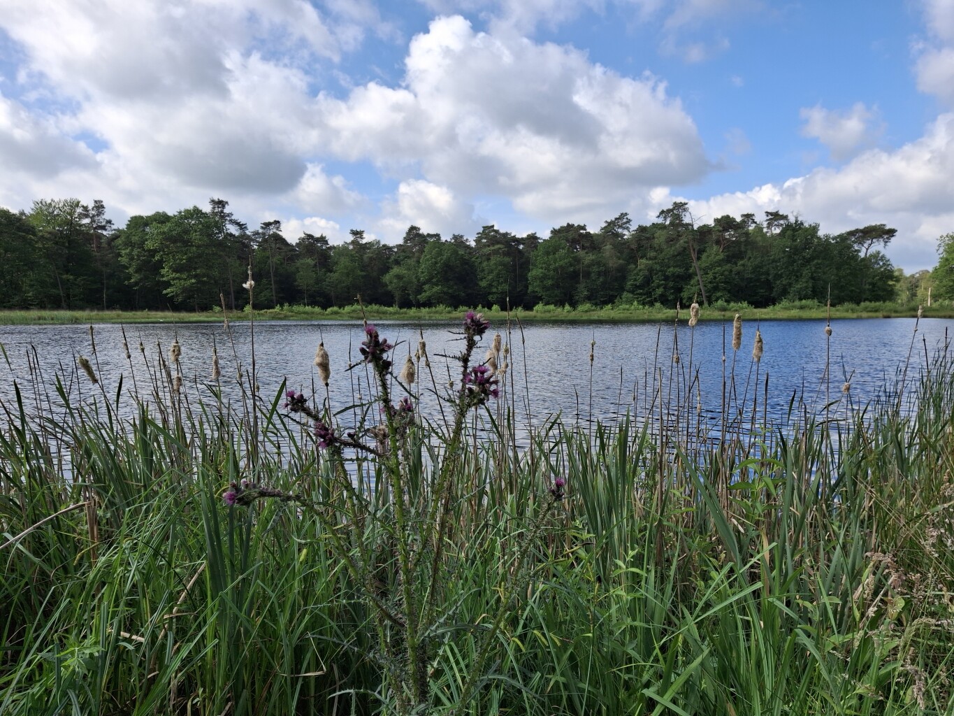 Naar de jachtvelden van de koning in het Mastbos