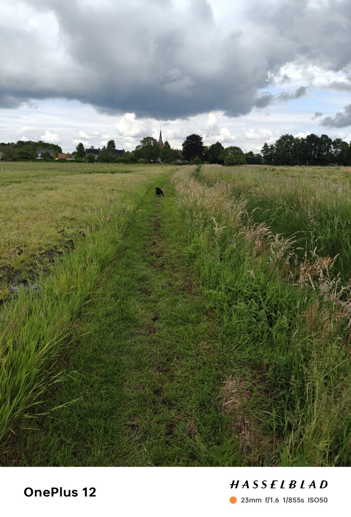 Bladel - Lage Mierde · Brabants Vennenpad etappe 10