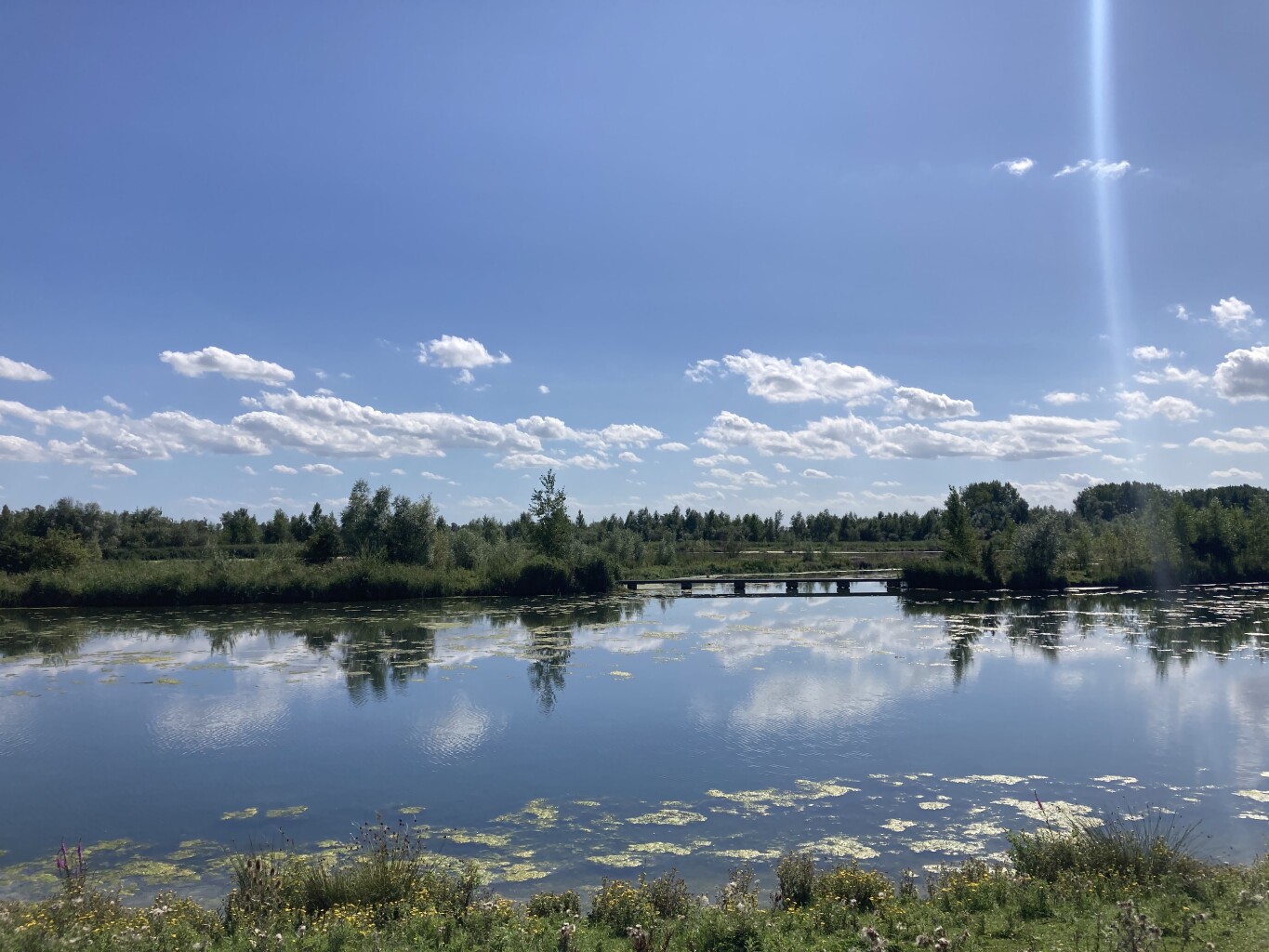 Rondwandeling (Jantjesplaat - Hogehof - Deeneplaat) · Biesboschpad etappe 14