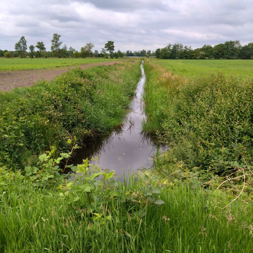 Bonifatius Kloosterpad