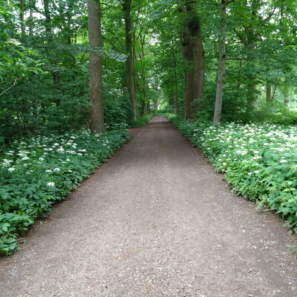 Bonifatius Kloosterpad