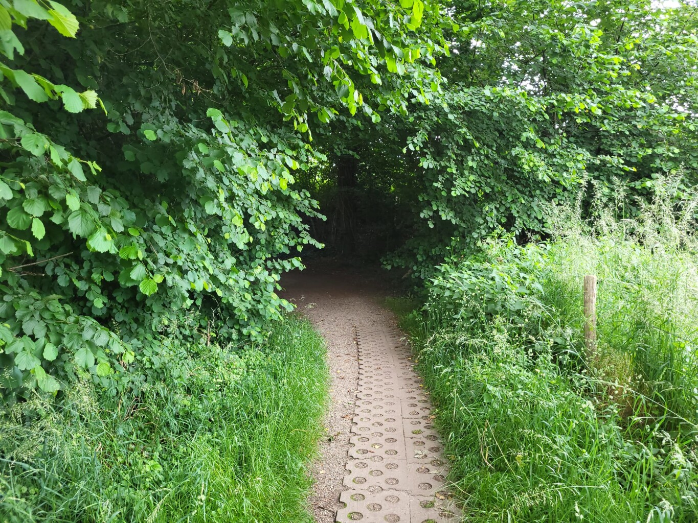 Reckensche Markepad Rekken