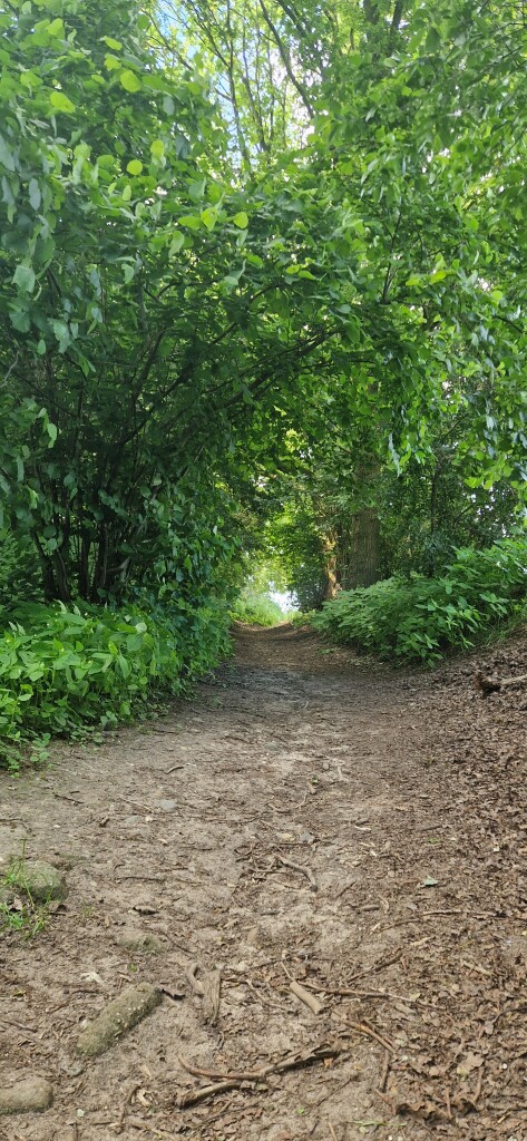 Grift- en Graftenpad