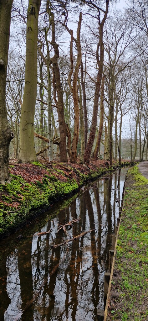 Klompenpad: Heyrderpad