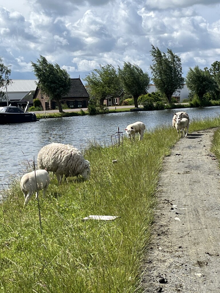 De Kwakel - Aarlanderveen · Pelgrimspad etappe 3