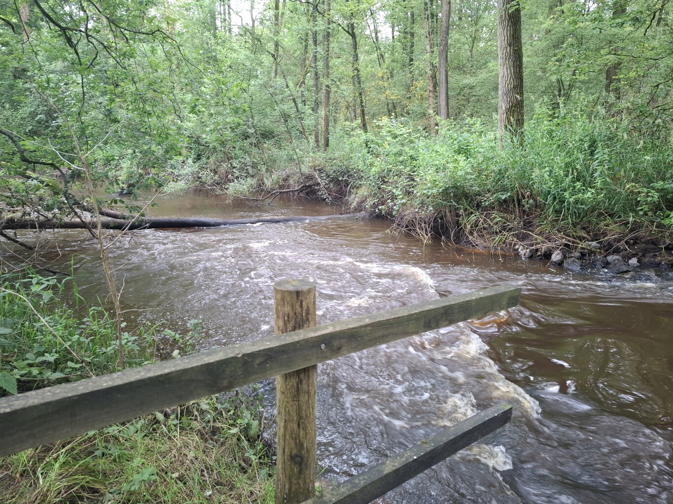 Liempde - Oisterwijk · Roots Natuurpad etappe 30