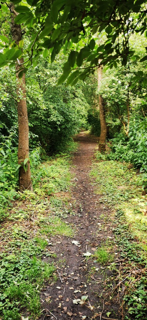 Maasdam - Dordrecht Station · Biesboschpad etappe 4