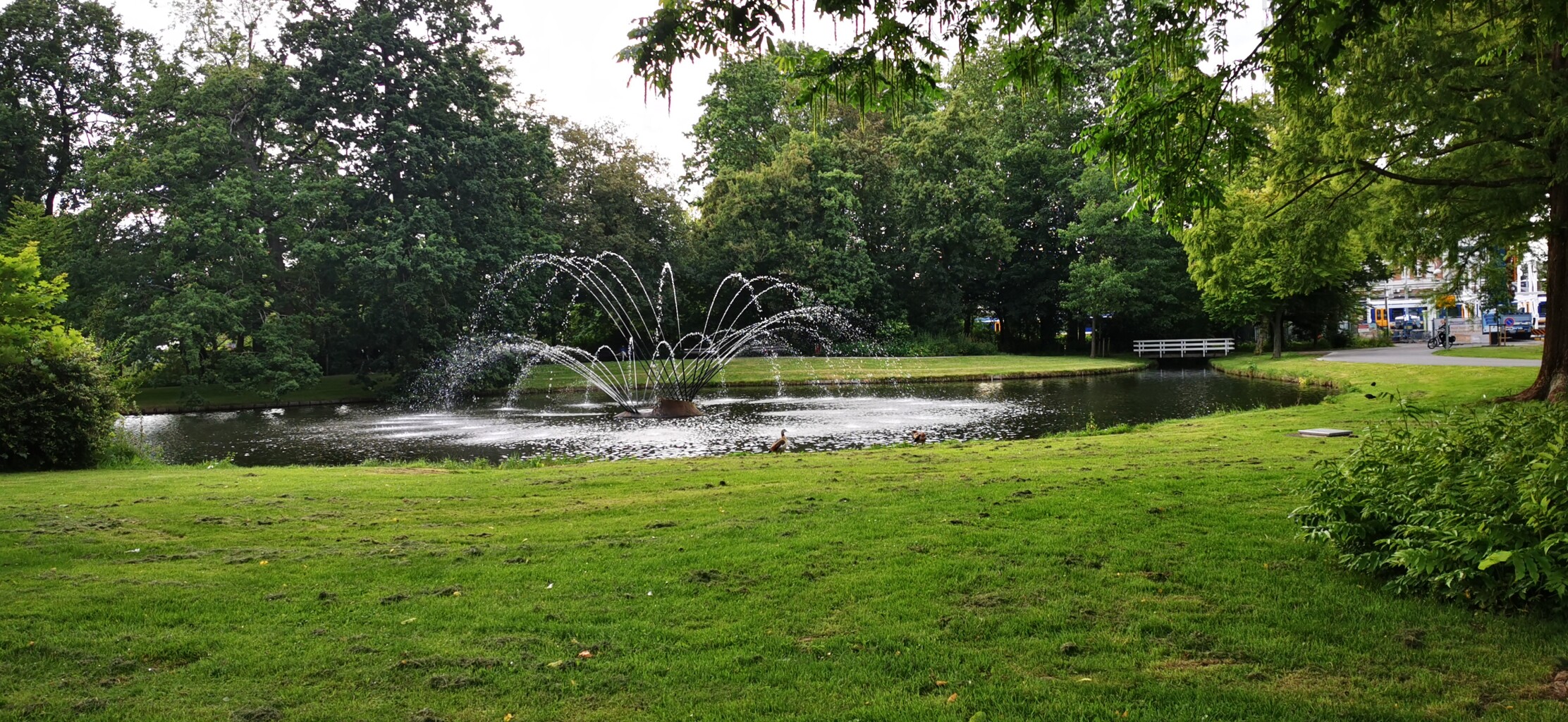Maasdam - Dordrecht Station · Biesboschpad etappe 4