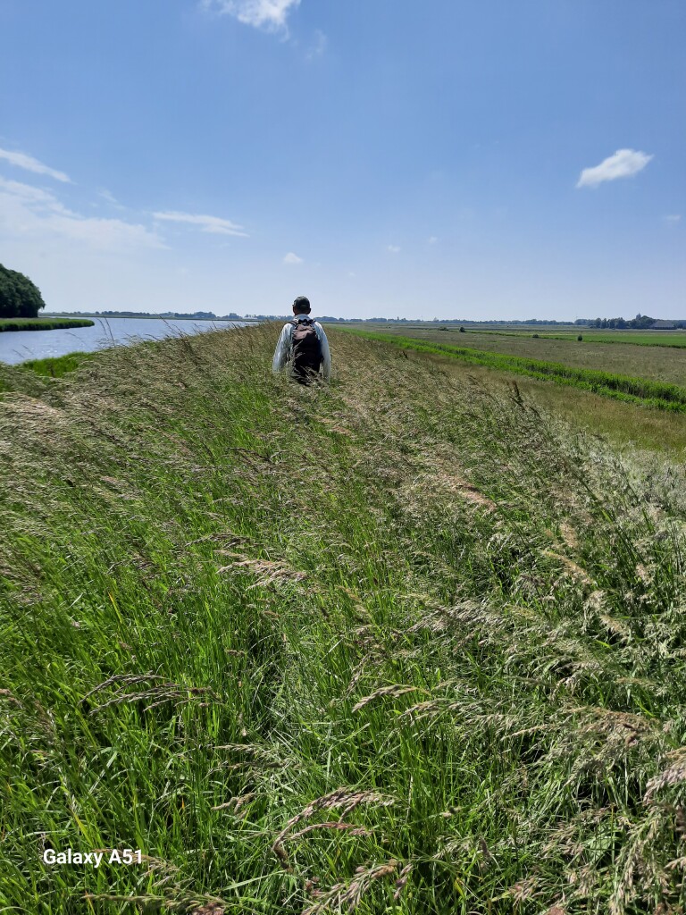 Den Oever - De Haukes · Noord-Hollandpad etappe 6
