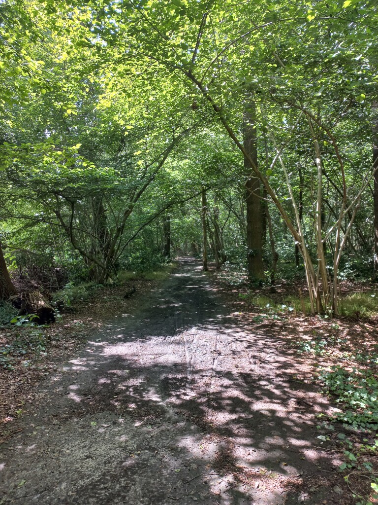 Nuis - Leek · Groninger Borgenpad etappe 1