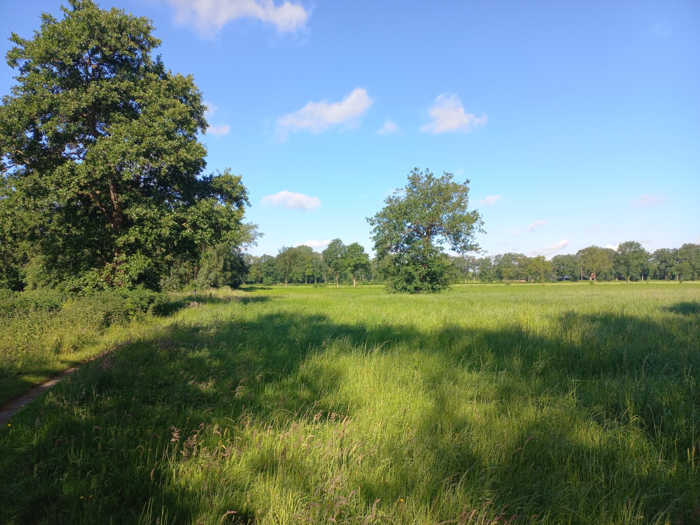 Nuis - Leek · Groninger Borgenpad etappe 1